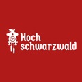 Logo Stadt Todtnau in Todtnau